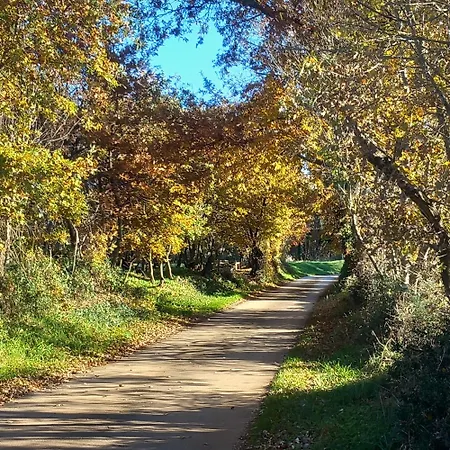 Casa Fresca Marčana